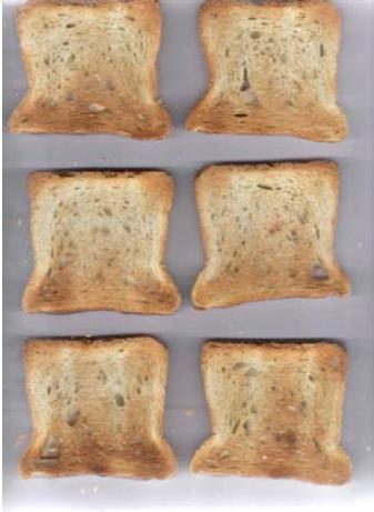 Внешний вид тостов из тостера марки Zanussi (сторона Б).JPG